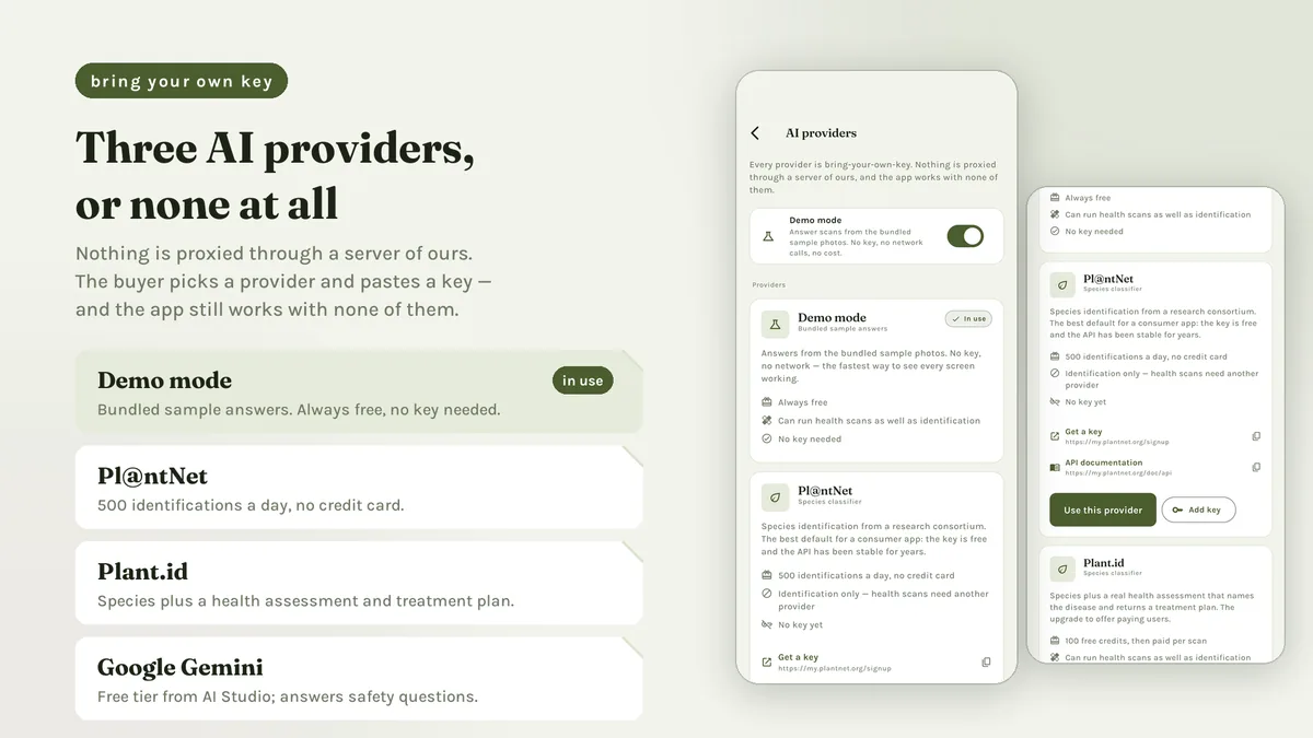 Provider settings for Pl@ntNet, Plant.id, Gemini and Demo mode — Sprigora